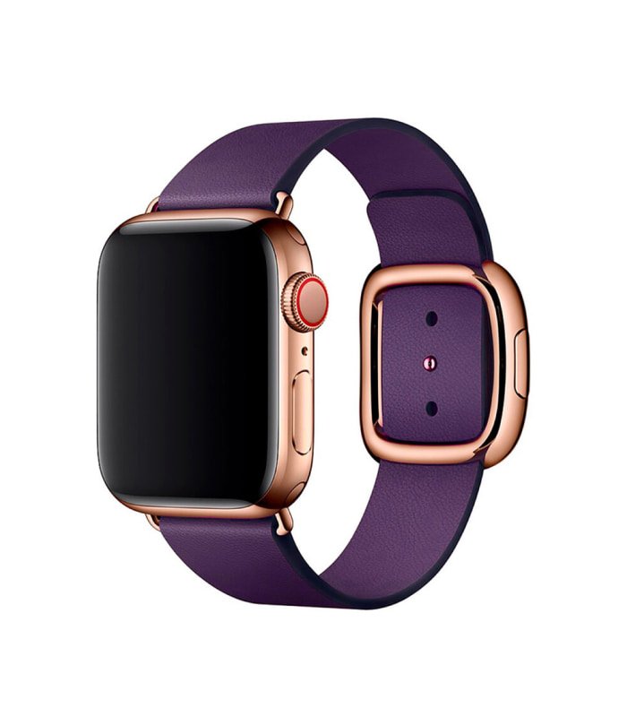 straps-leather-3 Aubergine Modern Buckle - Image 1